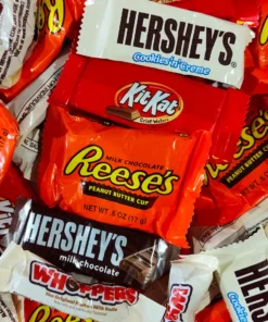 Not Specified Hershey's Favorites Mini Bars 13g Approx American Candy