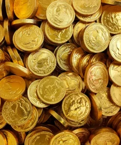 LollyShop Gold Coins Chocolate