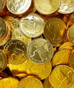 LollyShop Gold Coins Chocolate