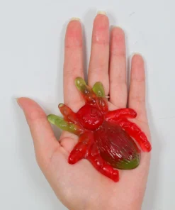 Not Specified Giant Spider Approx 5 Gummies