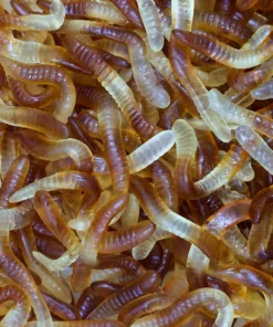 Not Specified Cola Worms Gummies