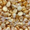 Hershey Kisses Gold 1 Hershey Kisses Gold