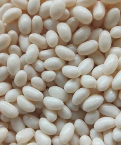 LollyShop Jelly Beans (Imported Single Colour)