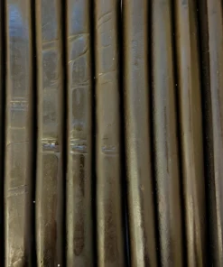 LollyShop Licorice Roll Black 5's