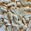 Not Specified Milk Bottles Seconds 500g (Manufacturers Clearance)