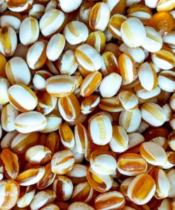 LollyShop Mint Humbugs 325g (Old Fashioned)