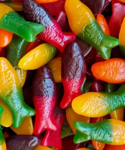 LollyShop Rainbow Fish