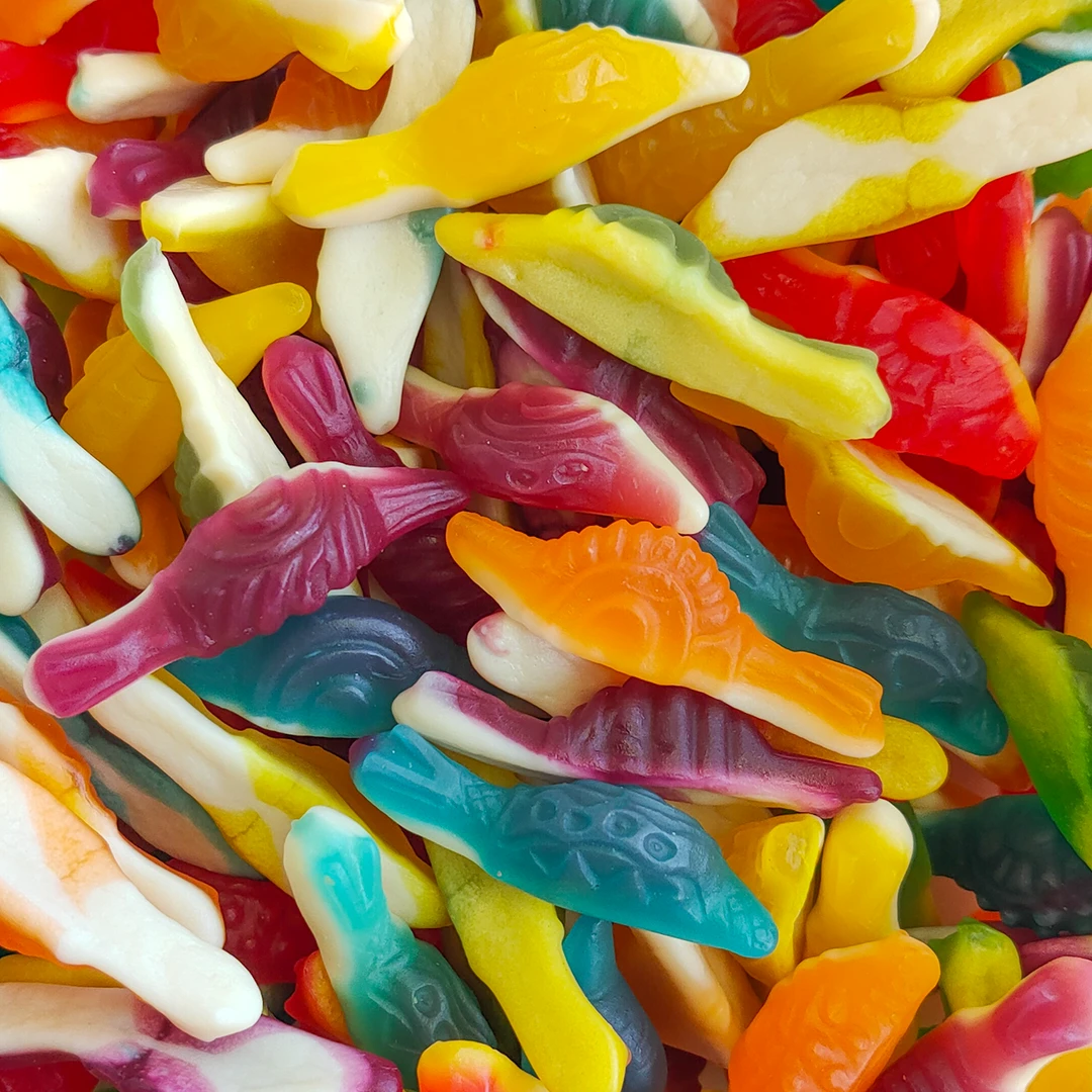 Slimey Snails (Mayceys) 3 Slimey Snails (Mayceys)